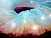 Women's Grils Organza Tutu LED Party Dance Skirt Light up Neon Mini Tutu Petticoat Rainbow