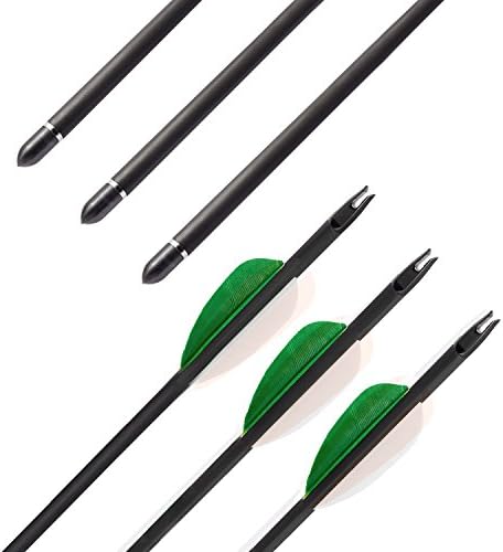 Posch Archery 12 Pack Natural Feather Fletching Carbon Composite Target Practice Arrows for Recurve, Compound and Traditional Longbow (Green Feather)