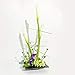 Fityle 4Pcs ~Square_L Plastic Ikebana Suiban Vase Tray Bonsai Flower Container~Various Shape,Black