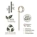 Prexware Bamboo Ring Skewers, 3.5 Inch Loop Skewers, Bamboo Skewers Cocktail Picks. 100 Count.