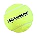 Downtown Pet Supply 30 Replacement Squeakers, Variety Pack (10 Medium, 10 Bellowed, and 10 Large Squeakers) + Free Tennis Ball That SQUEAKS, The SQUEAKINATOR
