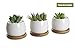 Opps White Ceramic Cute Succulent Cactus Plant Pot with Bamboo Tray – Pack of 3
