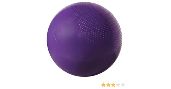 fitness gear weighted stability ball
