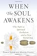 When the Soul Awakens: The Path to Spiritual Evolution and a New World Era