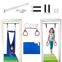 DreamGYM Indoor Swing Trapeze & Rings Combo and Therapy Sensory Swing