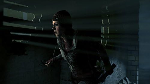 Amazon Until Dawn 惨劇の山荘 Ceroレーティング Z Ps4 ゲーム
