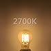 gezee 10W Edison Style Vintage LED Filament Light Bulb, 100W Incandescent Replacement,Warm White 2700K,1000LM, E26 Medium Base Lamp, A19(A60) Antique Shape, Clear Glass Cover,Dimmable（3-Pack）