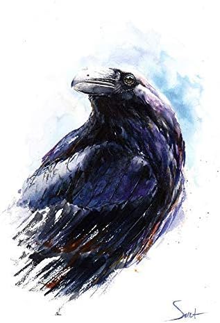 Watercolor Raven Bird Print - Artist Eric Sweet