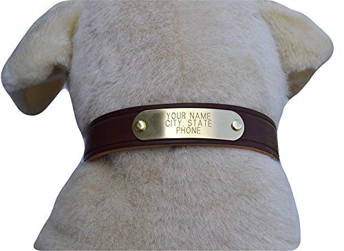 Warner Brand Cumberland Leather Dog Collar + Free Engraved Brass ID tag (21" Fits 15-19" Neck, Rich Brown)