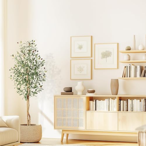 Garvee 150cm Artificial Olive Tree, Faux Plant with Natural Wood Trunks, 864 UV-Resistant Silk Leaves, White Ceramic Pot with Weighted Base, Farmhouse Floor Decor for Living Room, Entryway, Office