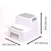 SKYLA HOMES Potty & Sink Training Stairs (2-Pack) - Portable Plastic Nursery Stepping Stools for Bathroom & Kitchen Best for Toddlers or Kids Safe Tile Standing Step Stool Set-of-Two (Gray)