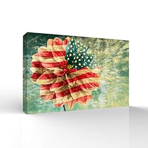 Canvas Wall Art for Living Room,Bedroom Home Artwork Paintings Independence Day Ready to Hang - 12x18 inches