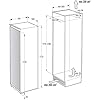 Hisense RIL391D4AW1 172x54cm 301L In-column Integrated Larder Fridge