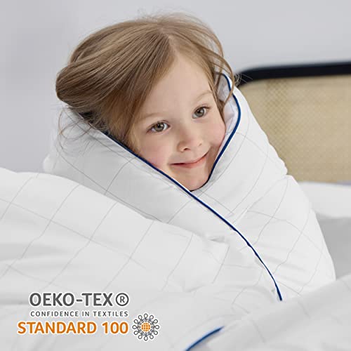 Bedsure White Comforter Queen Down Alternative Grid Comforter, 300 GSM