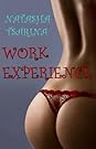 Work Experience (Nat Smiley Book 1)
