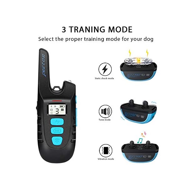peston dog training collar