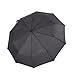 Ecourban 10 Ribs 60 MPH Windproof Automatic Compact Umbrella