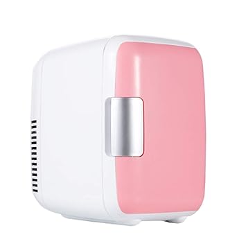 LXDDB 4l Mini Coche Hogar Pequeño Refrigerador Portátil Caja de ...