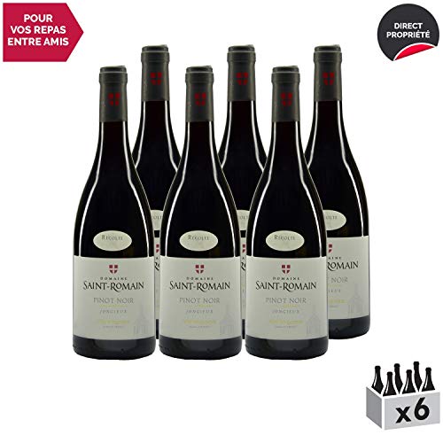 Vin de Savoie Pinot Noir cru Jongieux Rouge 2017 - Domaine Saint-Romain - Vin AOC Rouge de Savoie - Bugey - Cépage Pinot…