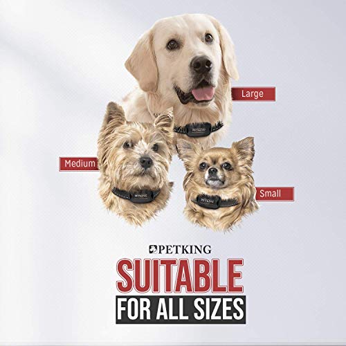 Anti Bark Collar for Small Large Dogs No Shock Bark Collars Dog Anti