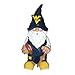 FOCO West Virginia 2008 Team Gnome