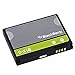 BLACKBERRY OEM D-X1 BATTERY FOR CURVE 8900 TOUR 9630