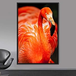 signwin Framed Canvas Wall Art Single Bird Birds...