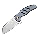 KIZER Cutlery Pocket Knives Flipper Knife Frame Lock Titanium Handles Tactical EDC Folding Knife, Sheepdog C01C Ki4488A