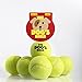 The Dog's Balls - 6 Dog Tennis Balls, Premium Quality Yellow Dog Toy for Fetch, Puppy Training, Exercise & Play. Fits Chuckit Launcher, Bouncy, No Squeaker, the King Kong of Dog Balls