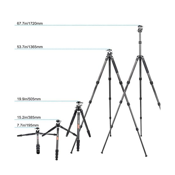 Cayer CT2480 Stativ aus Kohlefaser, 170,2 cm, leichtes professionelles Kamera-Reisestativ mit niedrigem Kugelkopf, 0,6… – Bild 6