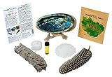 Home Cleansing & Blessing Kit TM with Abalone Smudging Bowl & Wooden Stand -:- California White Sage Smudge Stick + Smudging Feather + Blessed Anointing Oil + Tea Light Candle + Coarse Grain Sea Salt