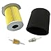 Poweka Air Fuel Filter Spark Plug Tune Up Kit for Yamaha Gas Golf Cart G14 1995-1996 Replace JF7-14450-01 J10-14417-00 JN3-F4560-00