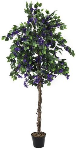 Europalms 180 cm 1-Piece Bougainvillea, Lavender