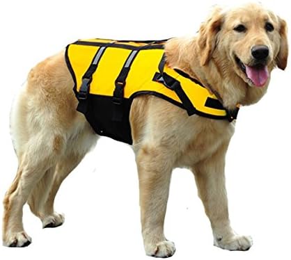Symbollife Gilet De Sauvetage Pour Chiens Veste De Survie Gilet De Flottaison Pour Chiens Harnais Veste De Sauvetage Fluorescent Pour Animaux Amazon Fr Animalerie
