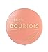 Bourjois Blush for Women, # 16 Rose Coupe de Foudre, 0.08 Ounce