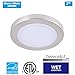 CLOUDY BAY® 7.5 inch LED Mini Flush Mount Ceiling Light 3000K Warm White Dimmable 12W 840lm -100W Incandescent Fixture Equivalent, Bathroom Hallway Stairway Lighting, Brushed Nickel Finish