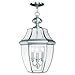Livex Lighting 2355-91 Monterey 3 Light Outdoor Brushed Nickel Finish Solid Brass Hanging Lantern with Clear Beveled Glass