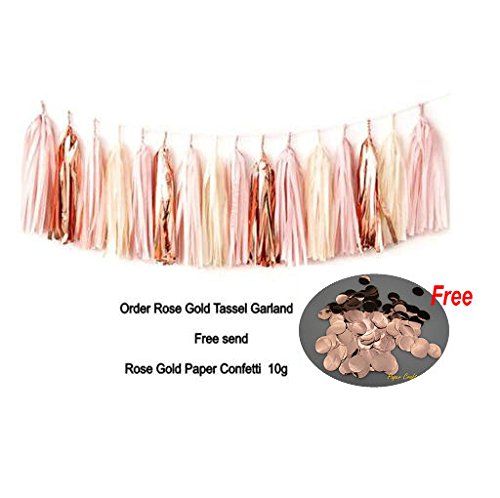 Sogorge 15 Pcs 14 Inches Tissue Paper Tassel Garland Rose Gold Foil Pink and Ivory Tassel Garland Free Rose Gold Paper Confetti 10g for Weddings Birthday Bridal Shower Baby Showers Decor(Rose Gold)