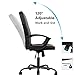 Office Chair, Ergonomics Mesh Chair Computer Chair Desk Chair High Back Chair w/Adjustable Headrest and Armrest