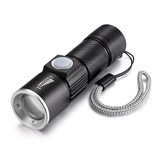 DARKBEAM UV Light Flashlight LED USB Rechargeable 365nm Ultraviolet Black Light Mini Portable Pet Urine Detector for Dog/Cat Urine,Dry Stains,Bed Bug, Matching with Pet Odor Eliminator