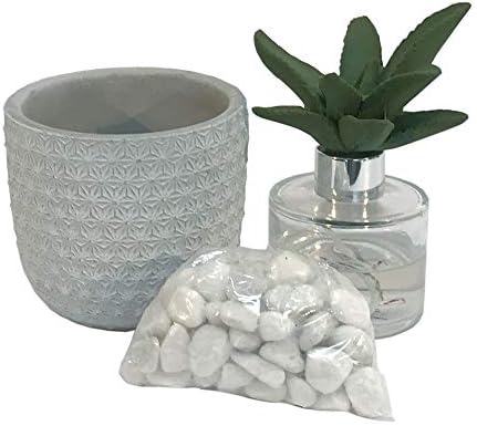 marymarygardens Cactus Home Diffuser Set with a Distressed Floral Patterned Cement Pot - Style C