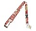 DC Comic Flash Reversible Breakaway Keychain Lanyard with ID Holder, Rubber Lightning Bolt Logo Charm and Collectible Sticker