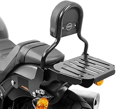 harley davidson luggage for sissy bar