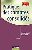 Pratique des comptes consolidés - 5ème édition (Fonctions de l'entreprise) by 