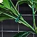 WILLBOND 200 Pieces Adjustable Plant Ties Flexible Garden Plant Ties, Green Multi-Function Sturdy Garden Plant Twist Tie Plastic Garden Ties Plant Support Tree Shrub (13 and 23 cm, Cable Tie)thumb 4