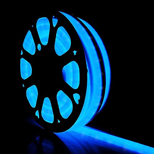 DELight 50 FT 110V Blue Flexible LED Neon Rope Light Indoor Outdoor Holiday Valentines Party Decoration Lighting
