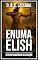 Livro Enuma Elish: O Épico Babilônico da Criação e da Ascensão de Marduque (Grandes Textos da Antiguidade em Traduções Fiéis)