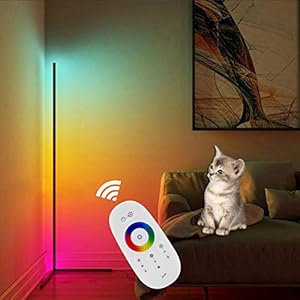 QJUZO RGB vloerlamp, dimbaar, met afstandsbediening, moderne led-vloerlamp voor woonkamer, slaapkamer, hoek…