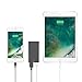 Native Union SMART Charger Set - Slim 2-Port Foldable USB-A Wall Charger and 4ft Ultra-Strong [MFi Certified] Lightning to USB-A iPhone Cable (Slate/Zebra)