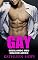 Livro Gay: Desejando Meu Melhor Amigo